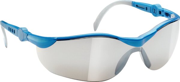 Image Ecobra Schutzbrille Profi, Einscheiben Bügelbrille mit