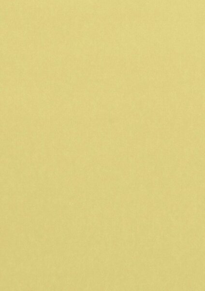 Image Pollen Farbiges Papier A4 160g chamois 50 Blatt