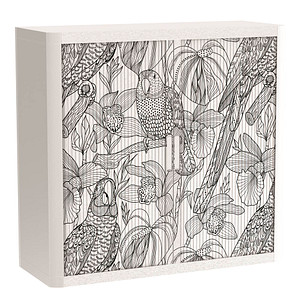 Image PAPERFLOW easyOffice Tropical Rollladenschrank 62464 2 Fachböden 110,0 x 41,5 x 104,0 cm