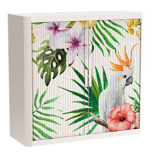 Image PAPERFLOW easyOffice Tropical Rollladenschrank 60660 2 Fachböden 110,0 x 41,5 x 104,0 cm