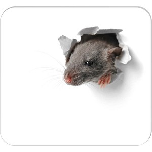 Image RNK Verlag Mousepad Block "Mausi", 240 x 220 mm, 30 Blatt