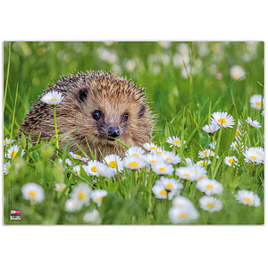 Image VELOFLEX Schreibtischunterlage Kunststoff Igel