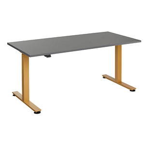 Image HAMMERBACHER XMST16 elektrisch höhenverstellbarer Schreibtisch grafit rechteckig, T-Fuß-Gestell gold 160,0 x 80,0 cm