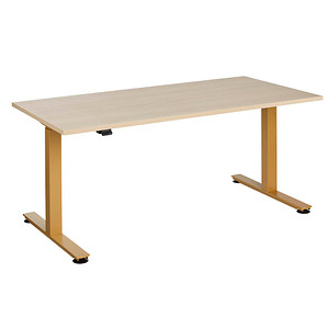Image HAMMERBACHER XMST16 elektrisch höhenverstellbarer Schreibtisch eiche rechteckig, T-Fuß-Gestell gold 160,0 x 80,0 cm
