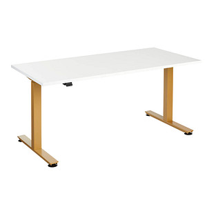 Image HAMMERBACHER XMST16 elektrisch höhenverstellbarer Schreibtisch weiß rechteckig, T-Fuß-Gestell gold 160,0 x 80,0 cm