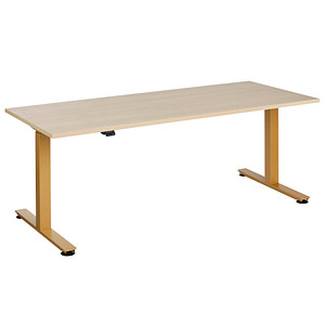 Image HAMMERBACHER XMST19 elektrisch höhenverstellbarer Schreibtisch eiche rechteckig, T-Fuß-Gestell gold 180,0 x 80,0 cm