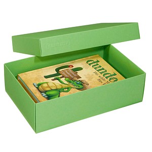 Image 2 BUNTBOX L Geschenkboxen 3,6 l grün 26,6 x 17,2 x 7,8 cm
