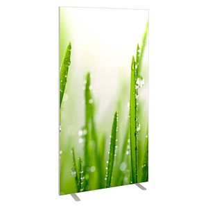 Image PAPERFLOW Trennwand easyScreen ES97014 Gräser Motiv 94,0 x 173,2 cm