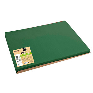 Image 500 PROnappe Platzsets Tiss Lack grün 30,0 x 40,0 cm
