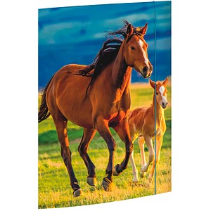 Image RNK Verlag Zeichnungsmappe "Free Horses", DIN A3