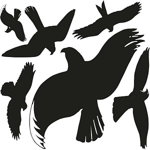 Image 6 AVERY Zweckform Hinweisaufkleber Warnvögel Vogel 7,6 x 12,0 cm