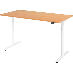 Image HAMMERBACHER VXDLR16 elektrisch höhenverstellbarer Schreibtisch buche rechteckig, T-Fuß-Gestell weiß 160,0 x 80,0 cm