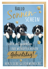 Image SUSY CARD Geburtstagskarte - Humor "Mischlingshunde