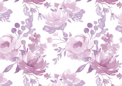 Image SUSY CARD Geschenkpapier "Aquarell Rosen", auf Rolle