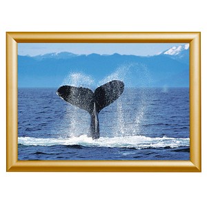 Image Showdown® Displays Klapprahmen gold 45,1 x 62,5 cm