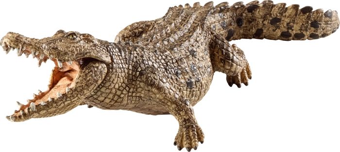 Image Krokodil