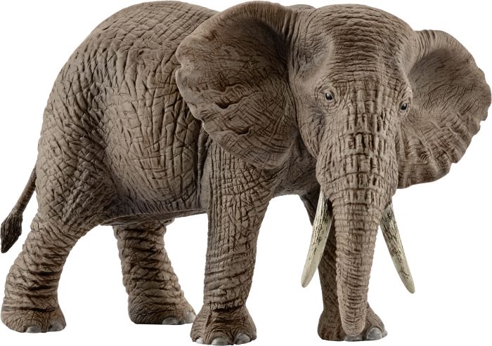 Image Afrikanische Elefantenkuh