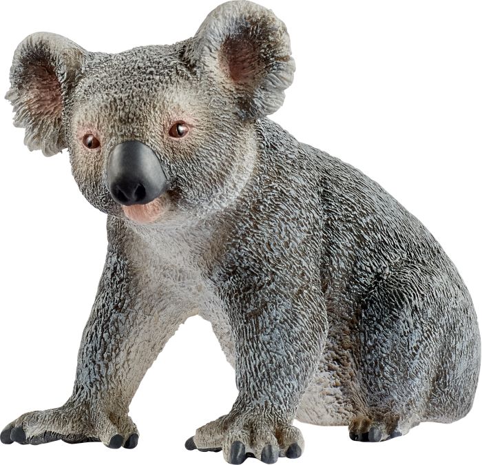 Image Schleich® Wild Life 14815 Koala Spielfigur