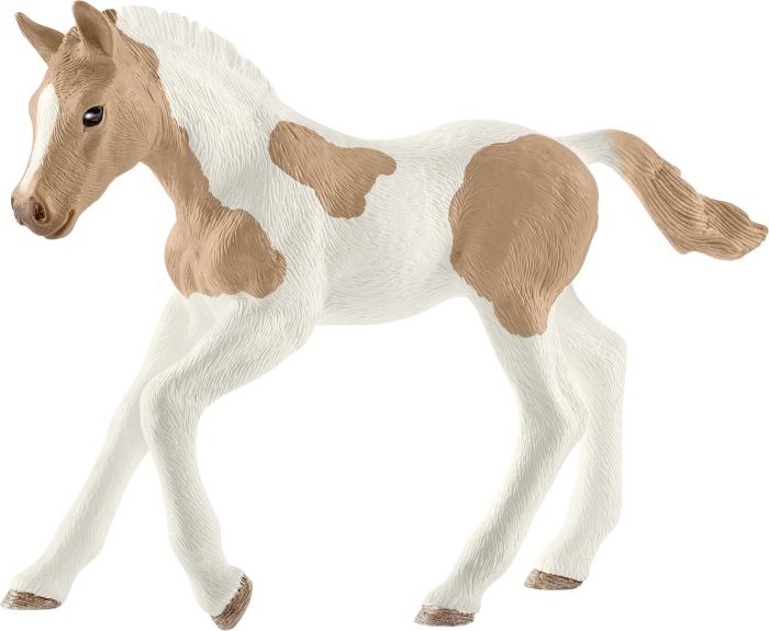 Image HC Paint Horse Fohlen