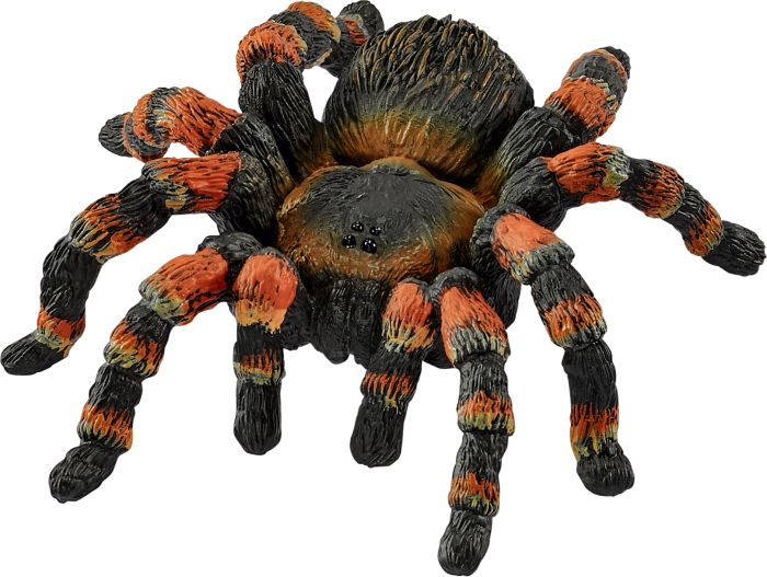 Image Schleich® Wild Life 14829 Vogelspinne Spielfigur