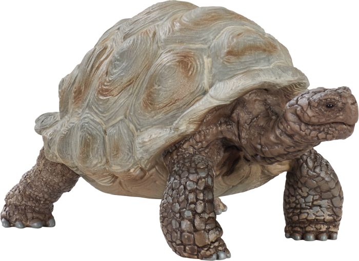 Image Schleich® Wild Life 14824 Riesenschildkröte Spielfigur