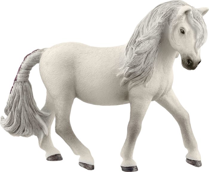 Image Islandpony Stute