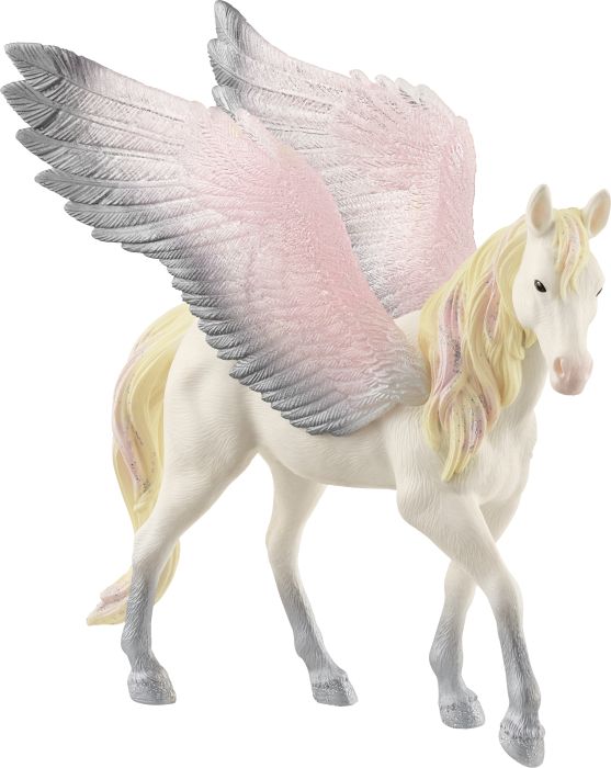Image Pegasus