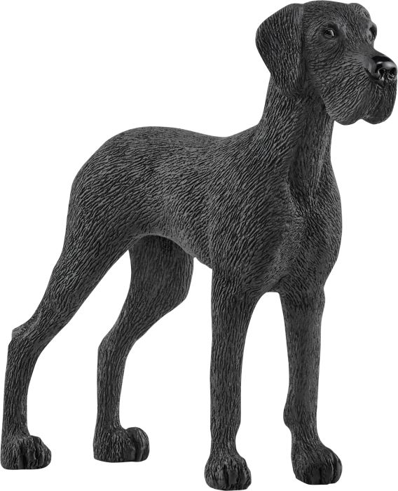 Image Dänische Dogge