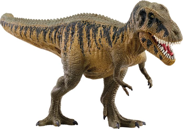 Image Tarbosaurus