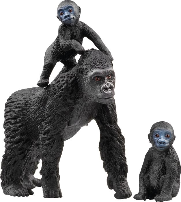 Image Flachland Gorilla Familie