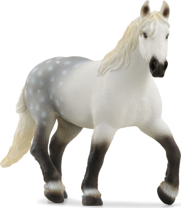 Image Percheron Stute