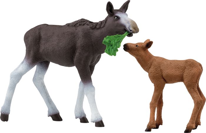 Image Elchkuh mit Kalb