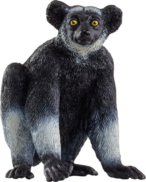 Image Indri
