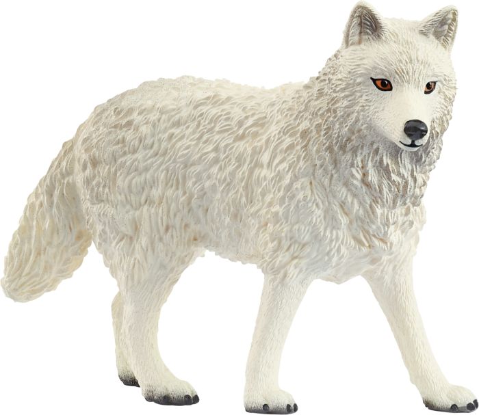 Image Polarwolf