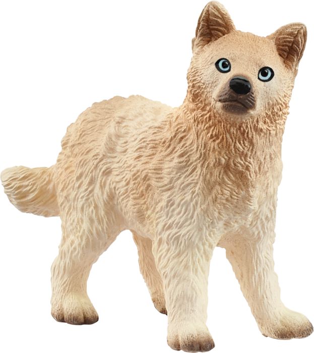 Image Polarwolf Welpe