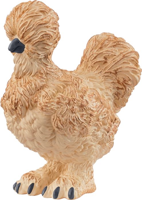 Image Seidenhuhn