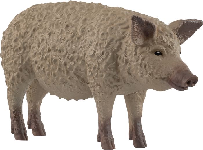 Image Wollschwein