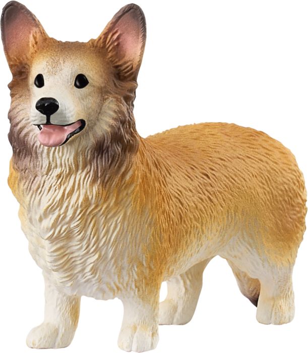 Image Welsh Corgi
