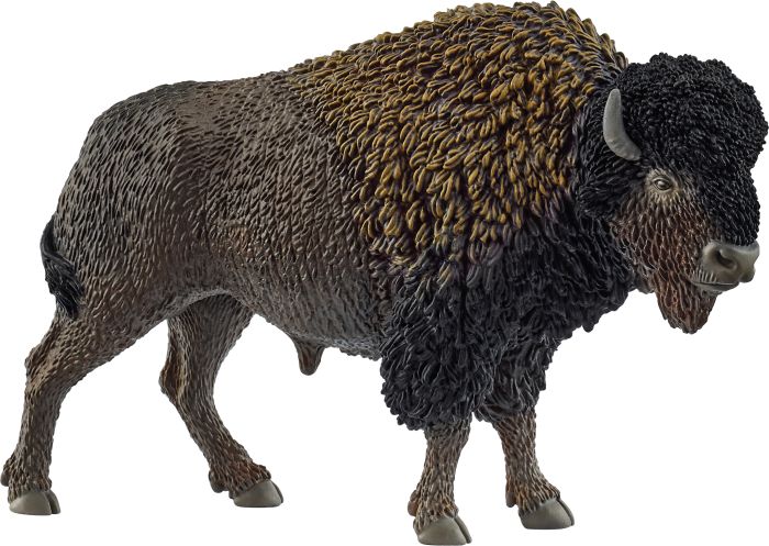 Image Bison