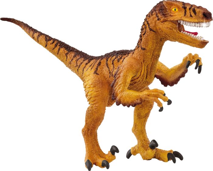Image Velociraptor
