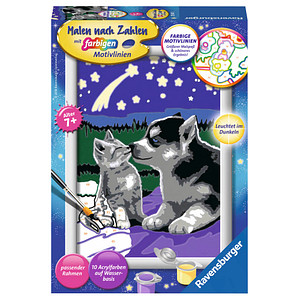 Image Ravensburger Malen-nach-Zahlen Hund und Katze mehrfarbig