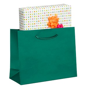 Image 25 VP Tragetaschen grün 25,0 x 20,0 cm