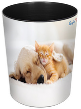 Image Läufer Papierkorb Hund und Katze