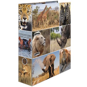 Image HERMA Motivordner "Animals", DIN A4, Afrika Tiere