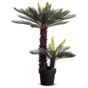 Image PAPERFLOW Kunstpflanze "Zycas", Höhe 800 mm