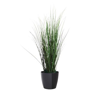 Image PAPERFLOW Kunstpflanze "Gras", Höhe: 550 mm