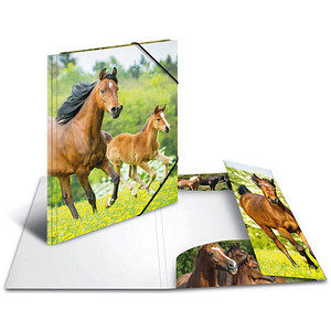 Image 3 HERMA Sammelmappen DIN A4 Pferde