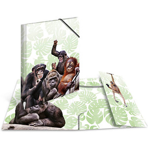 Image 3 HERMA Sammelmappen DIN A4 Affen