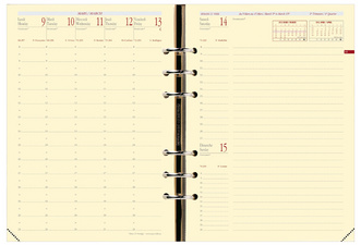 Image QUO VADIS Recharge "Timer 21 Prestige", 2024/2025, 16 mois