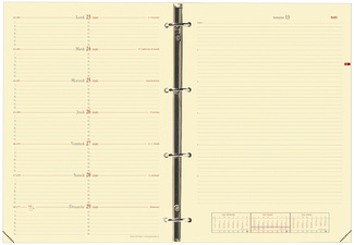 Image QUO VADIS Recharge "Timer 29 Notes", 2024/2025, 16 mois